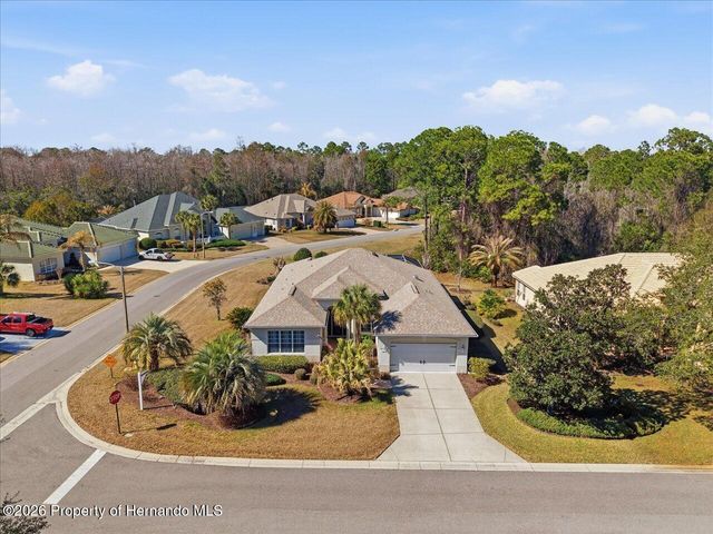 9001 Cypress Glen Court, Weeki Wachee, FL 34613