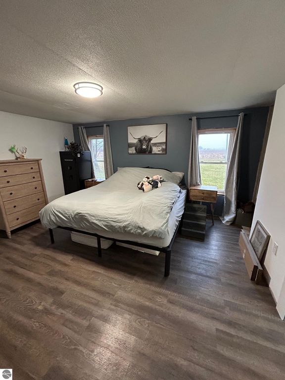 Cozy bedroom featuring a large bed with gray bedding, wooden dresser, and two windows with views of the outdoors, complemented by a wall art piece of a cow, suitable for a country living listing in St. Louis, MI.
