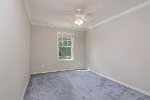 12979 Trail Hollow Drive, Houston, TX 77079