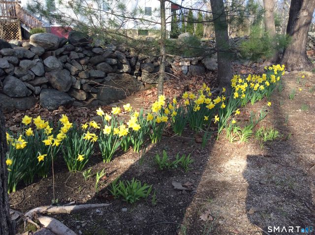 3 Maler Avenue, Shelton, CT 06484