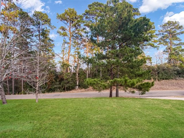 254 E Sunset Drive, Onalaska, TX 77360