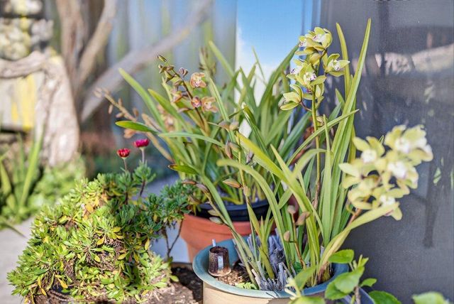 3555 Sevilla Drive, Soquel, CA 95073