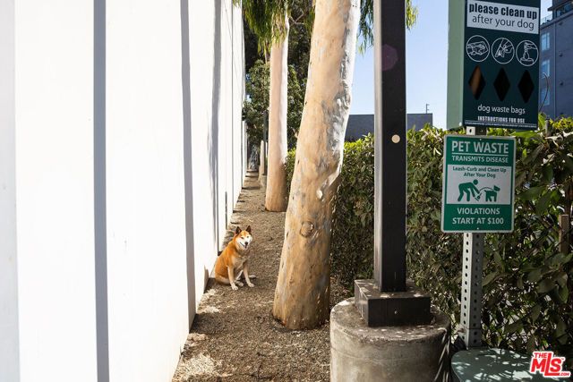 825 E 4th Street 110, Los Angeles, CA 90013