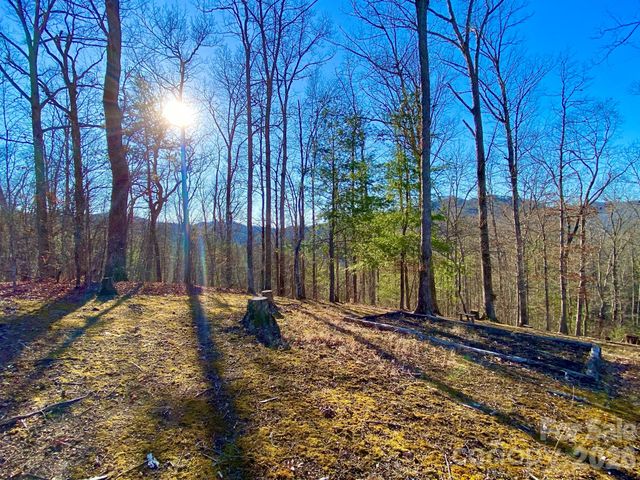 288 Rebel Drive, Hot Springs, NC 28743