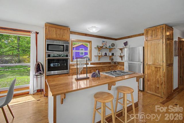288 Rebel Drive, Hot Springs, NC 28743