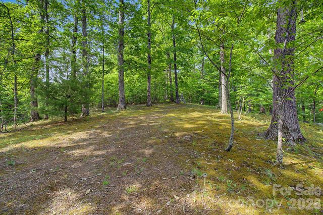 288 Rebel Drive, Hot Springs, NC 28743