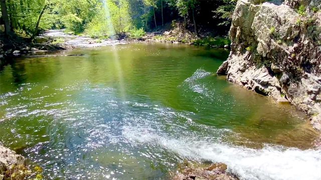 288 Rebel Drive, Hot Springs, NC 28743