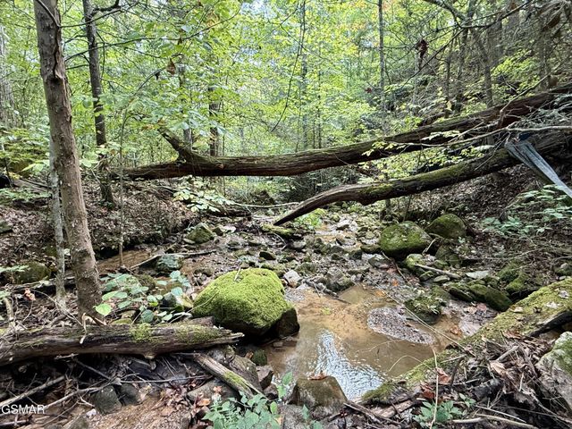154 Summit Trails Drive, Sevierville, TN 37862