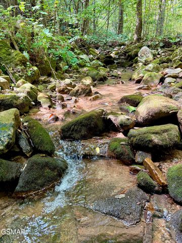 154 Summit Trails Drive, Sevierville, TN 37862