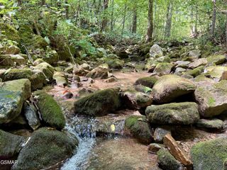 154 Summit Trails Drive, Sevierville, TN 37862