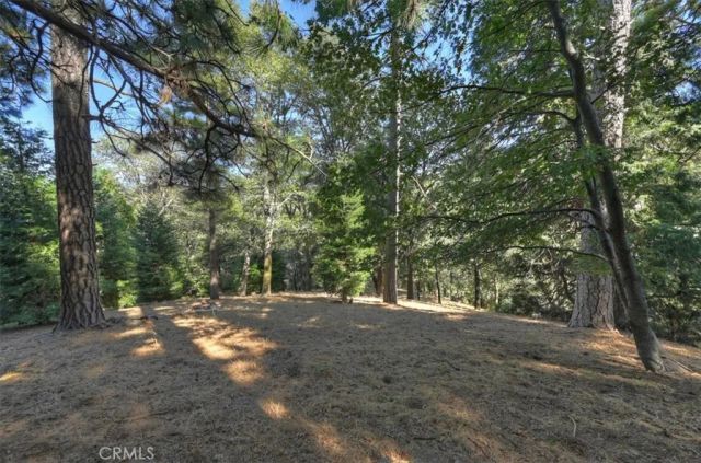 0 Pine, Cedarpines Park, CA 92322