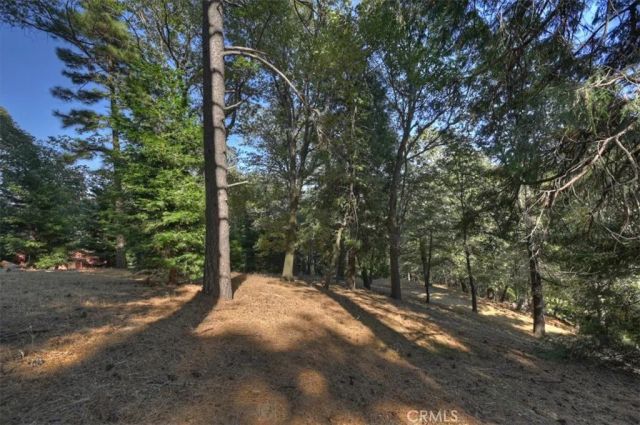 0 Pine, Cedarpines Park, CA 92322