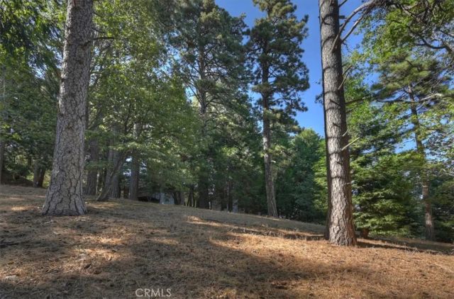 0 Pine, Cedarpines Park, CA 92322