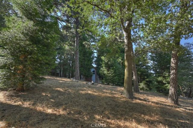 0 Pine, Cedarpines Park, CA 92322