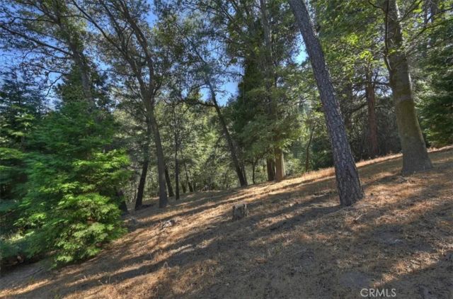 0 Pine, Cedarpines Park, CA 92322