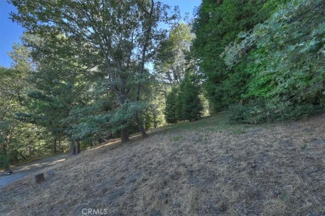 0 Pine, Cedarpines Park, CA 92322