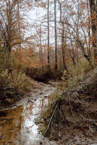 13608 Fm 692, Burkeville, TX 75932