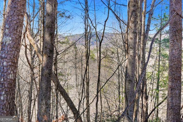 0 Mill Run, Sautee Nacoochee, GA 30571