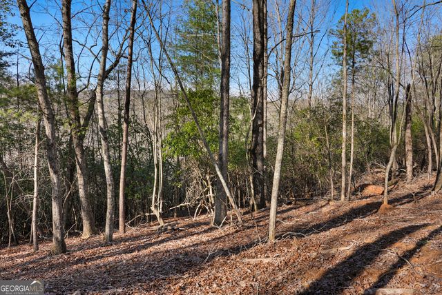 0 Mill Run, Sautee Nacoochee, GA 30571