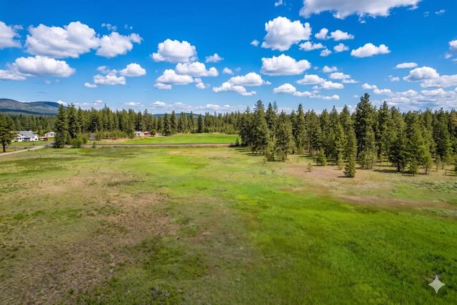 17305 S Blasted Ln, Cheney, WA 99004