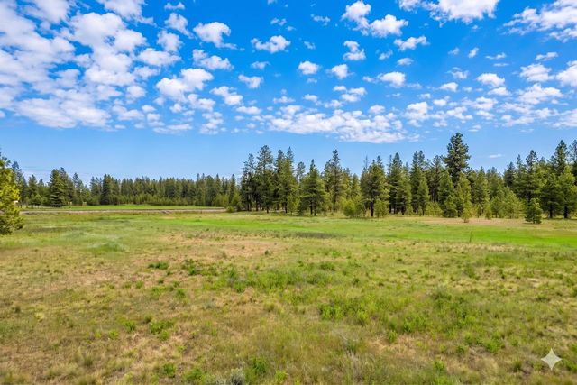 17305 S Blasted Ln, Cheney, WA 99004