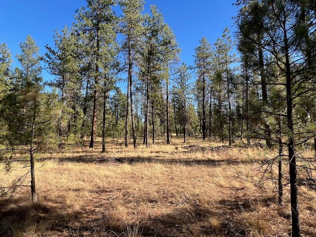 17305 S Blasted Ln, Cheney, WA 99004