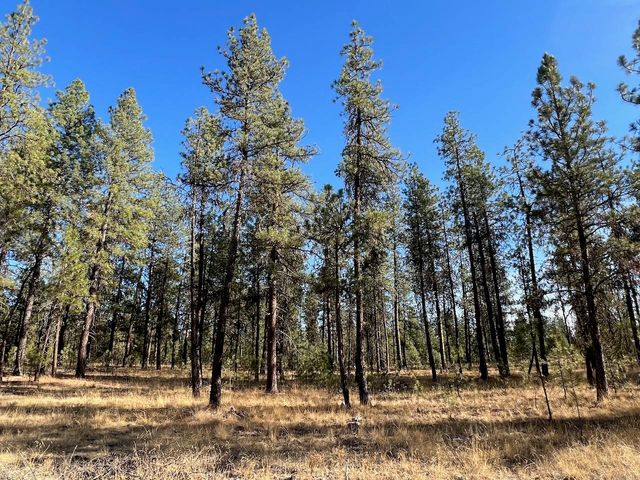 17305 S Blasted Ln, Cheney, WA 99004