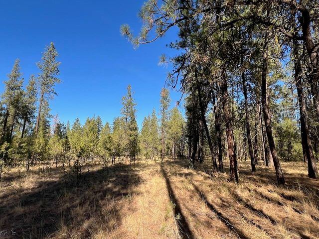17305 S Blasted Ln, Cheney, WA 99004