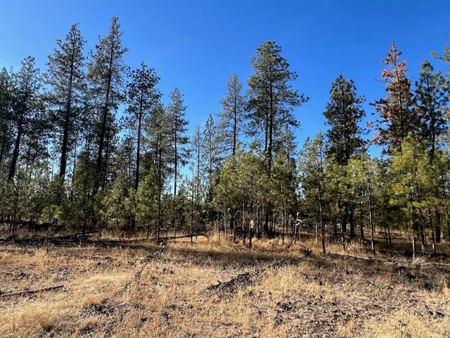 17305 S Blasted Ln, Cheney, WA 99004