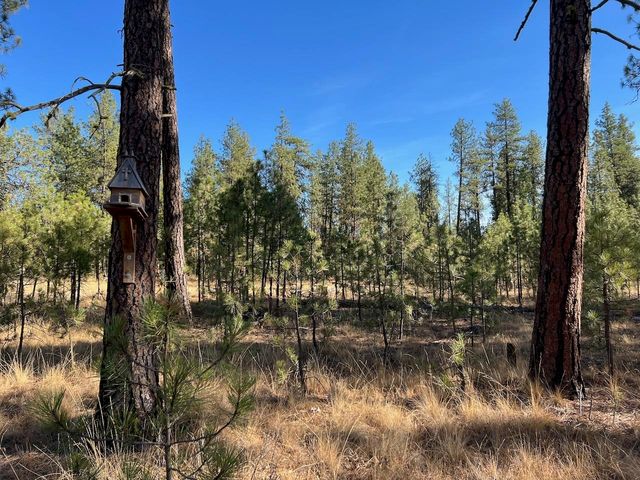 17305 S Blasted Ln, Cheney, WA 99004