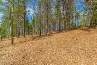 19 Turkey Run, Flintstone, GA 30725