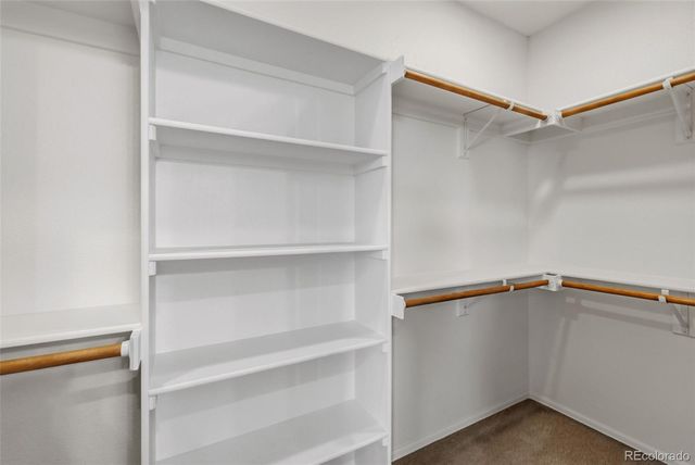 3311 Silver Pine Trail, Colorado Springs, CO 80920