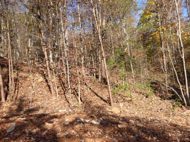 0 Laurel Avenue, South Pittsburg, TN 37380