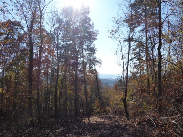 0 Laurel Avenue, South Pittsburg, TN 37380