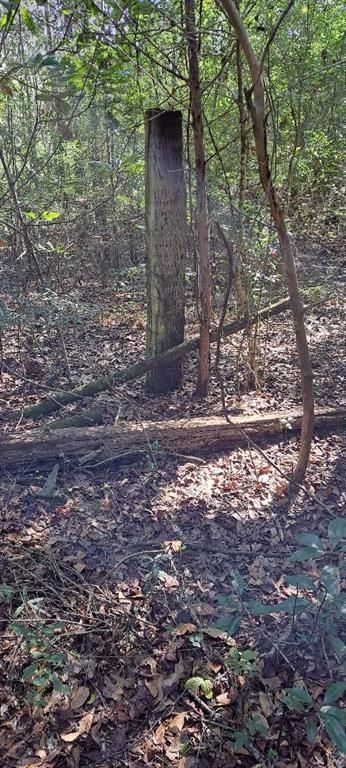 0 Dykes Road, Eight Mile, AL 36613 — photo 5