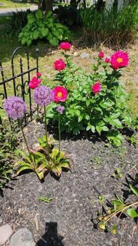 524 Hickory Street, Milford Vlg, MI 48381