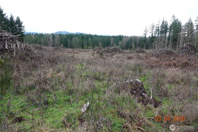 1806 414th Street E, Eatonville, WA 98328