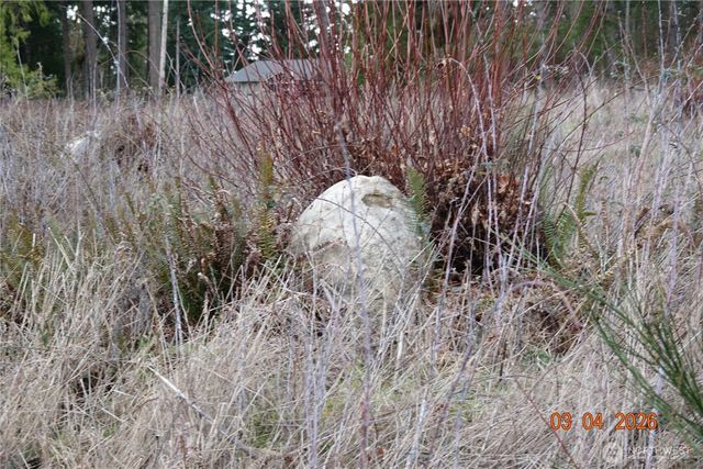1806 414th Street E, Eatonville, WA 98328