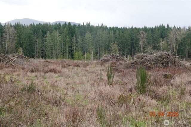 1806 414th Street E, Eatonville, WA 98328