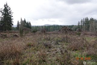 1806 414th Street E, Eatonville, WA 98328