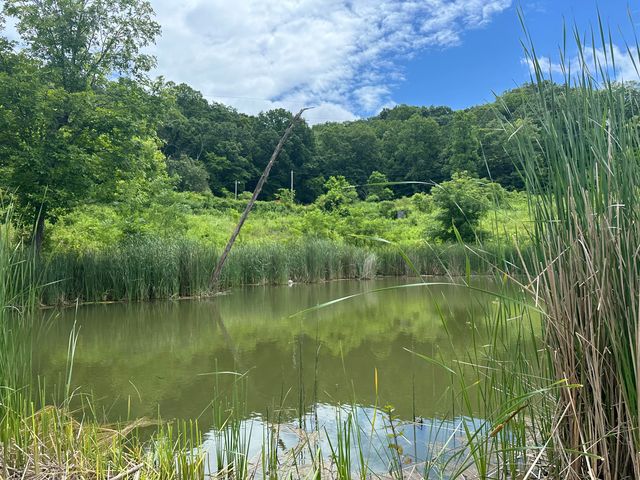 1431 Burton Williams Road, Irvine, KY 40336