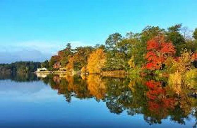 10 Sycamore Rd, Wrentham, MA 02093