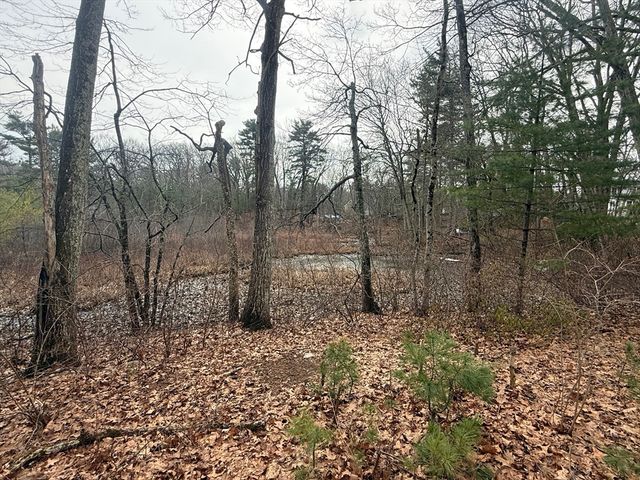 10 Sycamore Rd, Wrentham, MA 02093