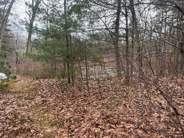 10 Sycamore Rd, Wrentham, MA 02093