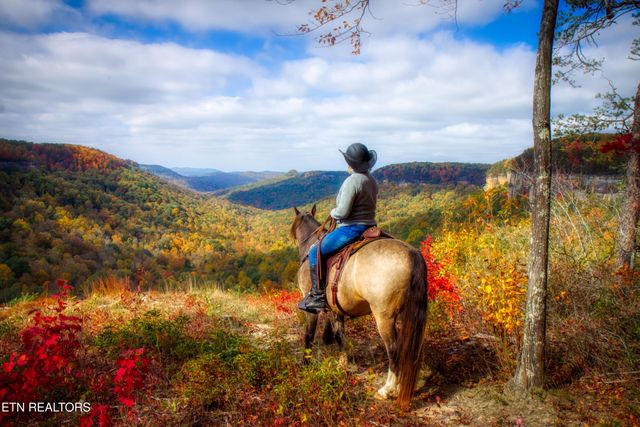 224 Eagle Bluff, Jamestown, TN 38556