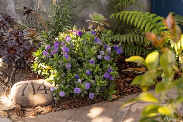 714 Duncan Street, San Francisco, CA 94131