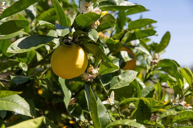 714 Duncan Street, San Francisco, CA 94131