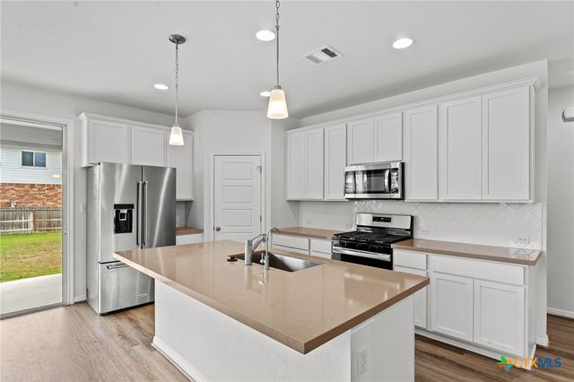 448 Chaste Tree Drive, San Marcos, TX 78666