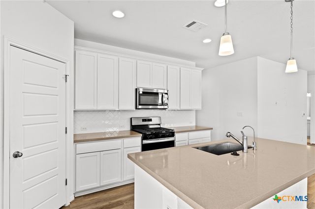 448 Chaste Tree Drive, San Marcos, TX 78666