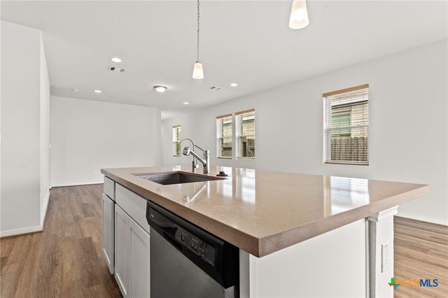 448 Chaste Tree Drive, San Marcos, TX 78666